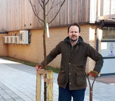 Trees planting