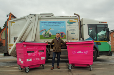 Pink Bins